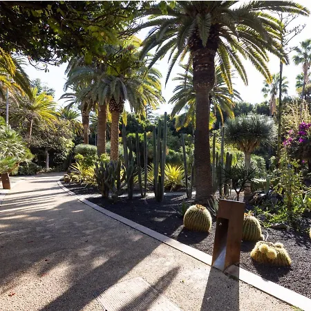 Live Tenerife Wanderlust Private Lejlighed